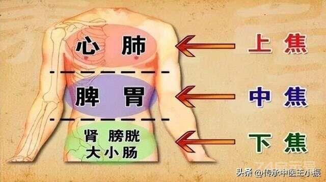 中焦不通，上热下寒怎么办一个经方，打通中焦，调和脾胃