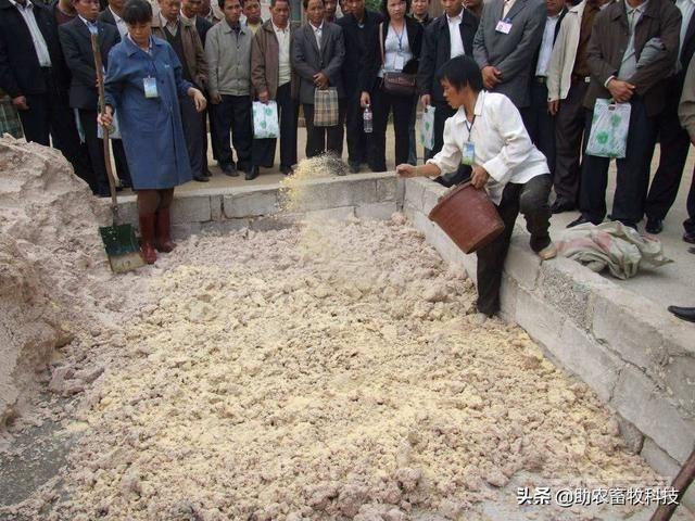土方法自制发酵饲料养猪鸡鸭技术，仅需塑料袋（桶）即可做出来