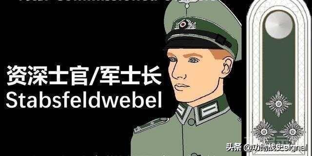 图文详解军衔等级错综复杂的二战德国的陆军军衔