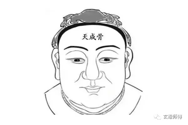 古相法精髓：分析“头相、田宅、子女、交友、夫妻”！