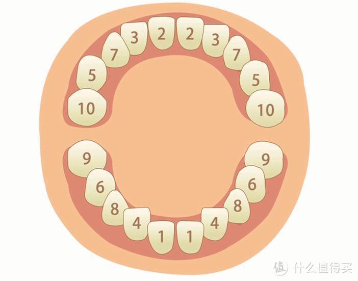 宝宝多大开始长牙？长牙的顺序和护理，一篇说清楚，别再搞错了