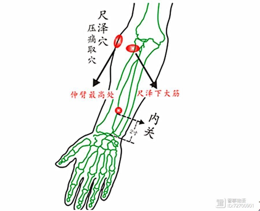 宣宾：部位选讲——尺泽与曲池__宣宾：部位选讲——尺泽与曲池