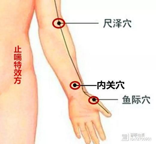 宣宾：部位选讲——尺泽与曲池__宣宾：部位选讲——尺泽与曲池