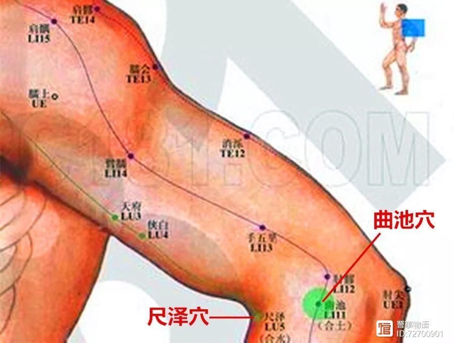 宣宾：部位选讲——尺泽与曲池_宣宾：部位选讲——尺泽与曲池_