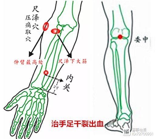 宣宾：部位选讲——尺泽与曲池__宣宾：部位选讲——尺泽与曲池