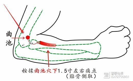 宣宾：部位选讲——尺泽与曲池__宣宾：部位选讲——尺泽与曲池