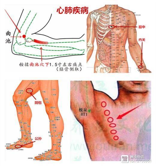 宣宾：部位选讲——尺泽与曲池_宣宾：部位选讲——尺泽与曲池_