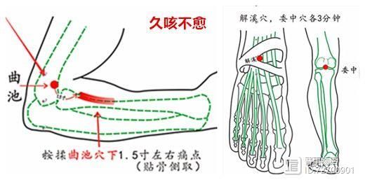 宣宾：部位选讲——尺泽与曲池_宣宾：部位选讲——尺泽与曲池_