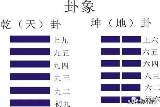 《周易》导读二：必备基础，乾坤六子及六十四卦六爻关系分析法