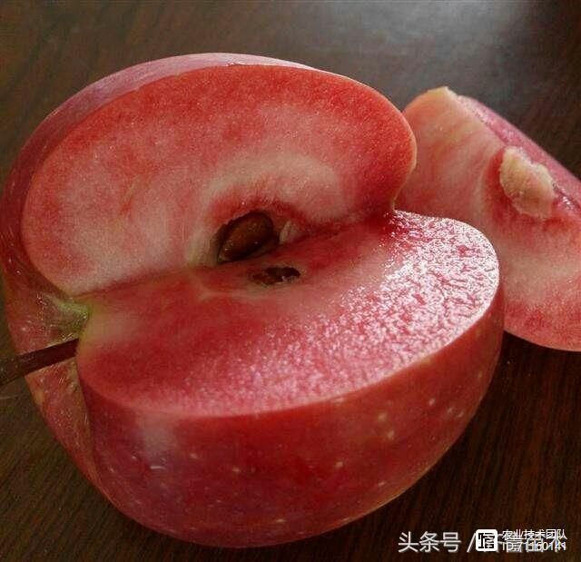 我国苹果品种及砧木特性大汇总，看这一篇就够用了！