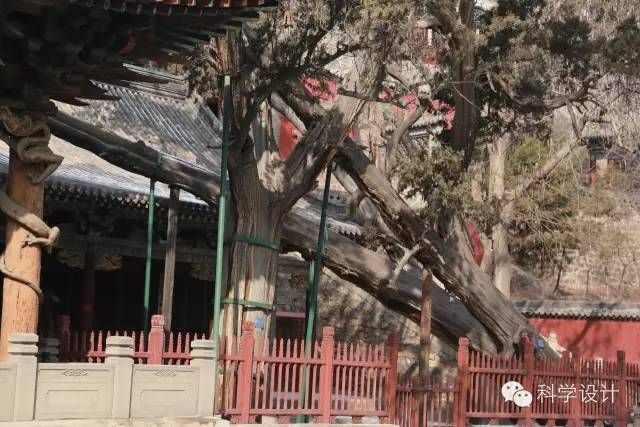晋祠圣母殿历史价值__晋祠圣母殿圣母像