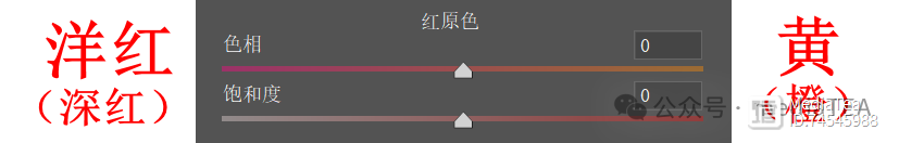 cameraraw下载教程_校准视频_