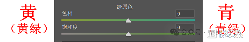 cameraraw下载教程_校准视频_