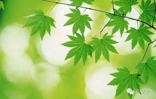 _说话句聪明精辟人后面怎么说_聪明人的说话之道