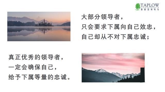 文章图片7