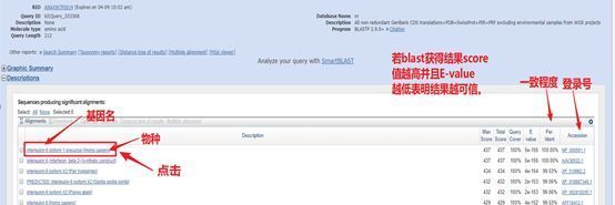蛋白序列比对分析_ncbi蛋白质序列比对_