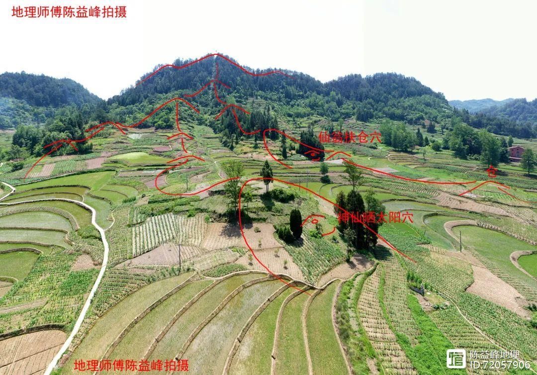 千金赋白话解读_刘若谷千金赋原文原版_