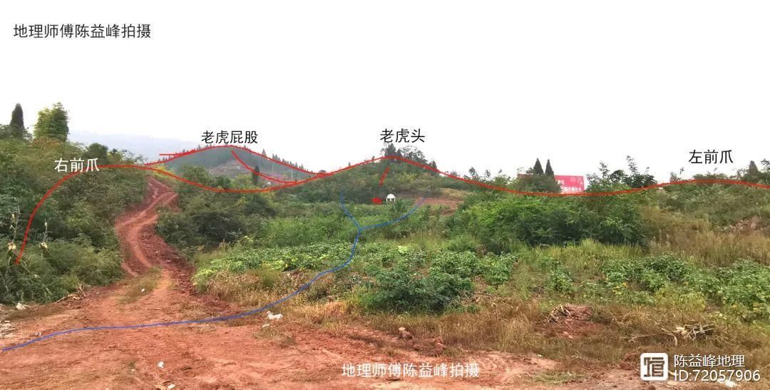_刘若谷千金赋原文原版_千金赋白话解读