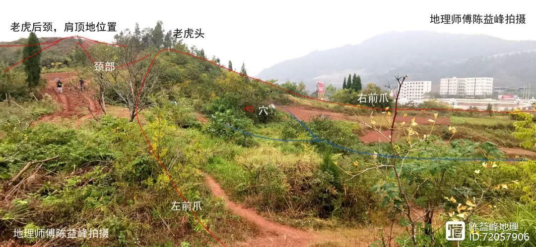 _千金赋白话解读_刘若谷千金赋原文原版