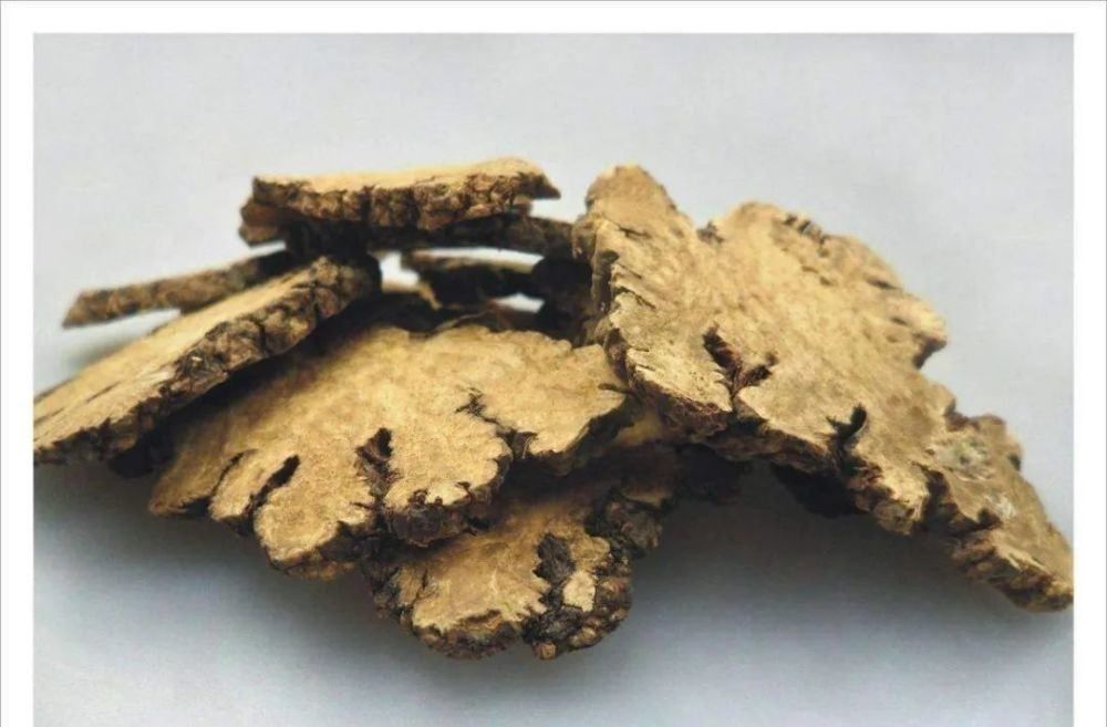 身痛逐瘀汤趣味方歌_身痛逐瘀汤方歌_