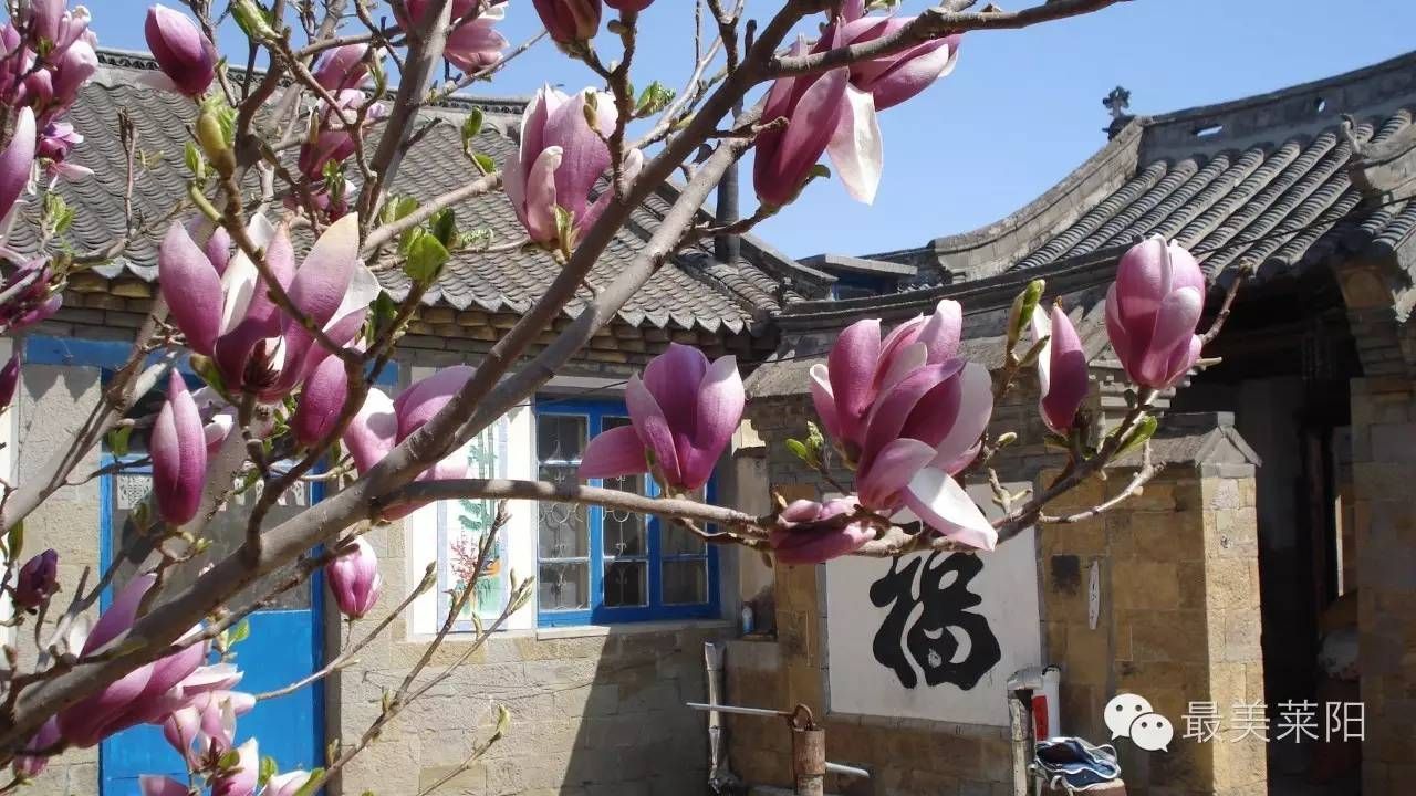 村庄家族陵地办林业证__家族村落