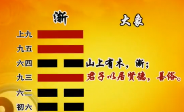 文章图片4