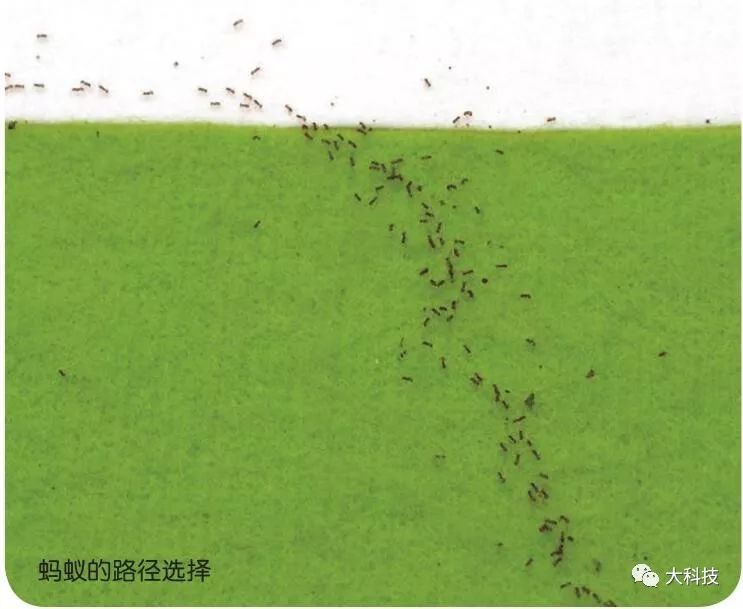 拯救者溺水快速解决方法_联想拯救者落水后怎么办_
