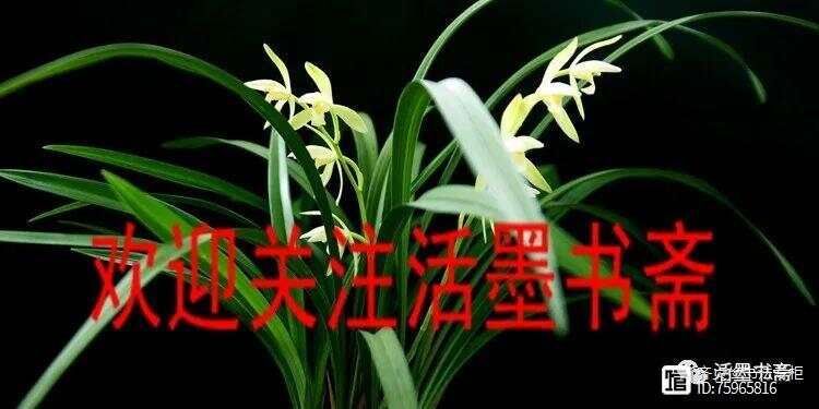 唐诗清平调三首李白视频朗读__唐诗清平调李白