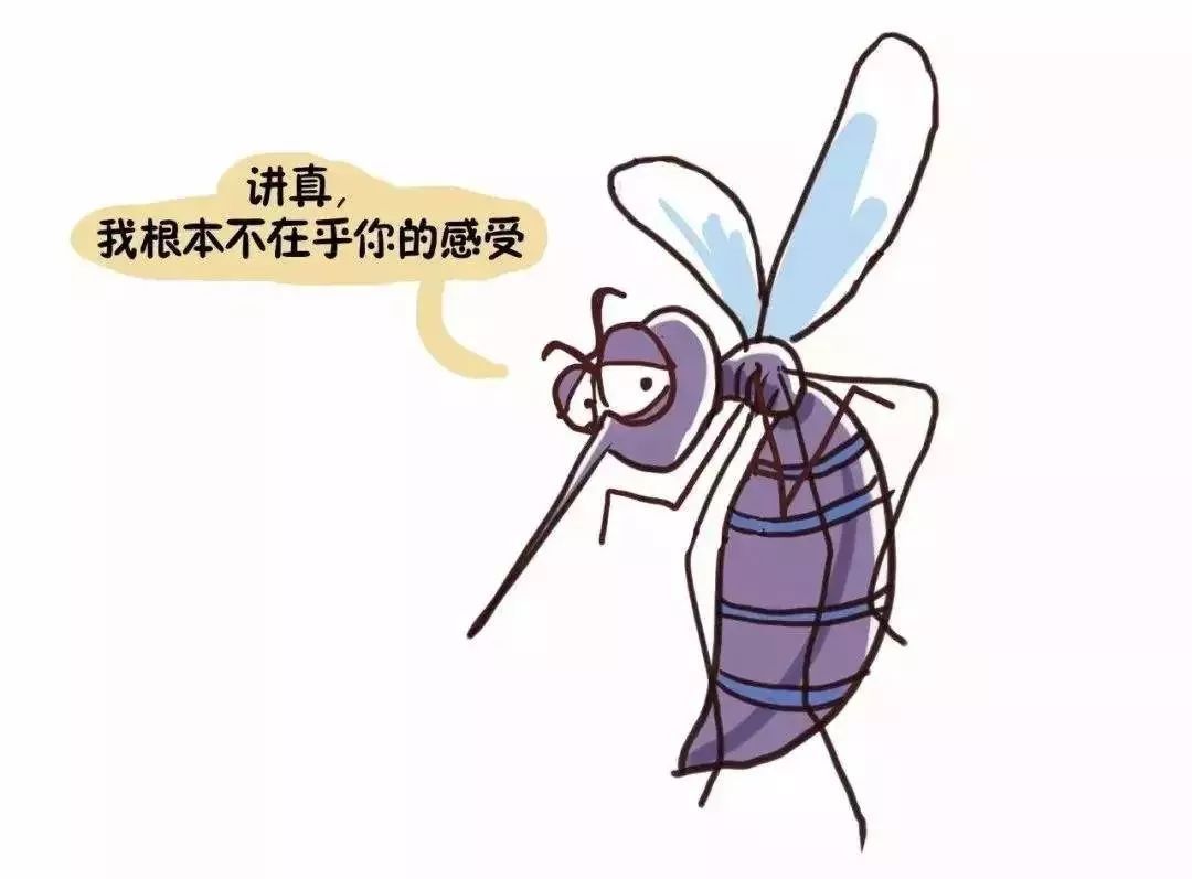 蚊子咬的怎么可以止痒_蚊子咬了怎么止痒最快小偏方_