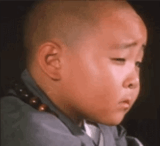_拉布拉多吞下价值14万元的钻石，网友：太识货！_拉布拉多吞下价值14万元的钻石，网友：太识货！