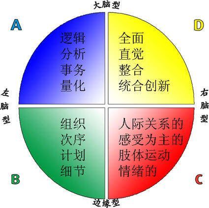 人体奥秘大脑_人体大脑小说_