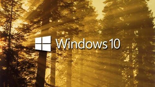 _win10重装系统后网速很慢_win10重装系统后怎么联网