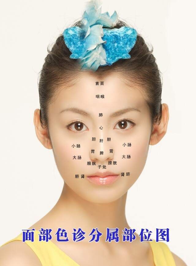 中医面诊部位图 - 一代玩童 - 一代玩童