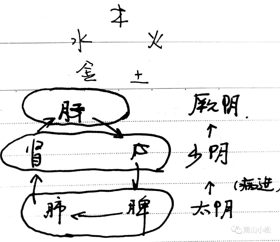 桂枝汤加术附加大黄__桂枝茯苓丸加大黄有哪些功效