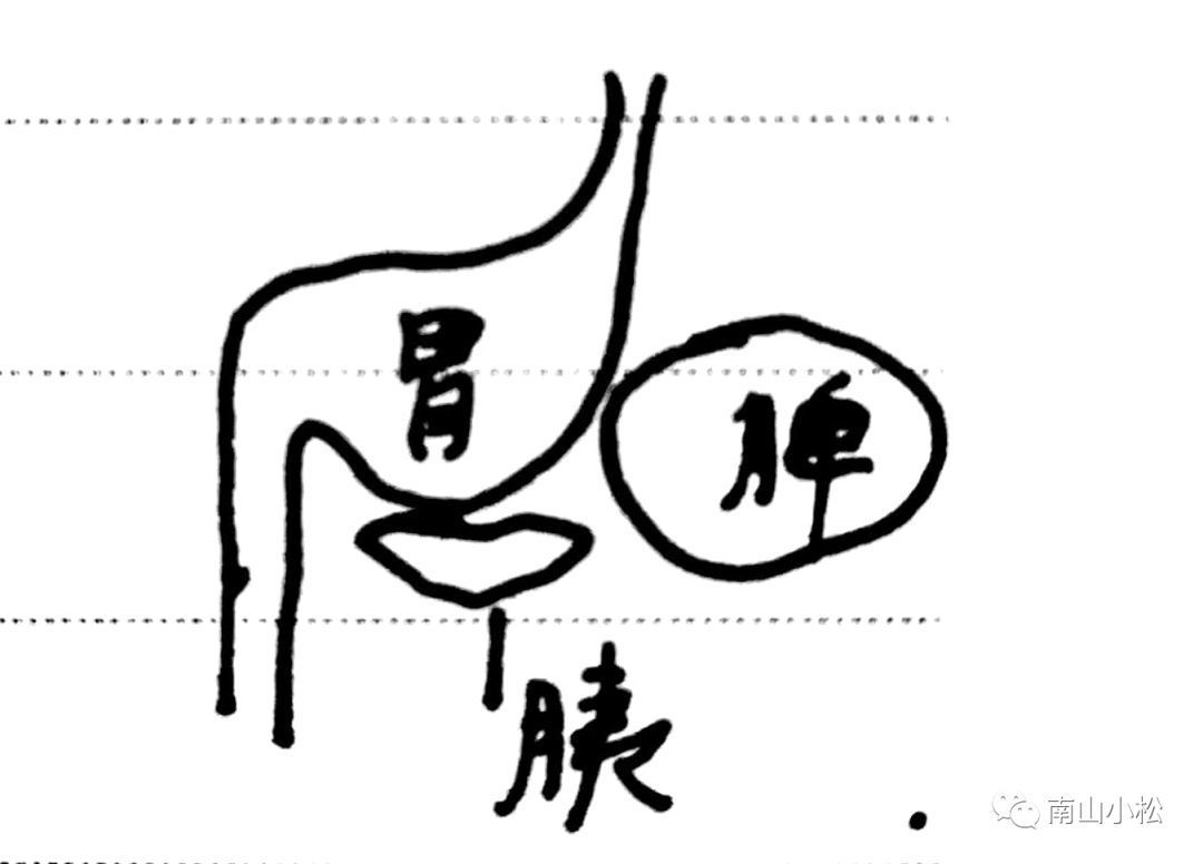 _桂枝茯苓丸加大黄有哪些功效_桂枝汤加术附加大黄