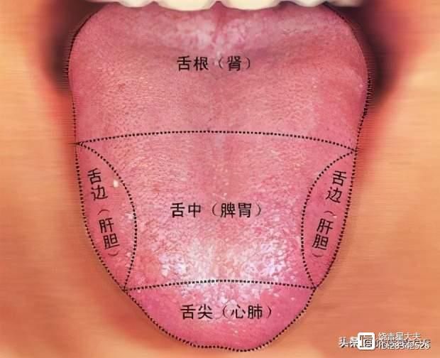 _舌尖塌陷中医_舌尖凹陷的医治