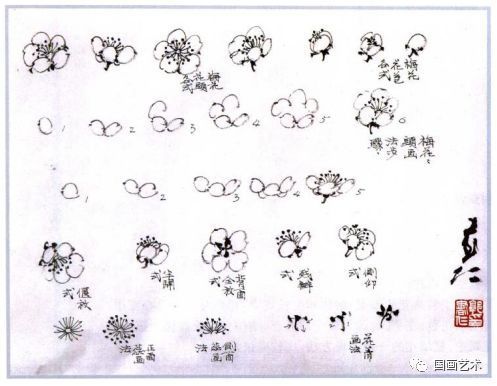 梅画简单的画怎么画_梅的画法步骤_
