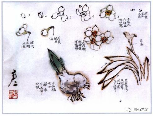 梅画简单的画怎么画__梅的画法步骤