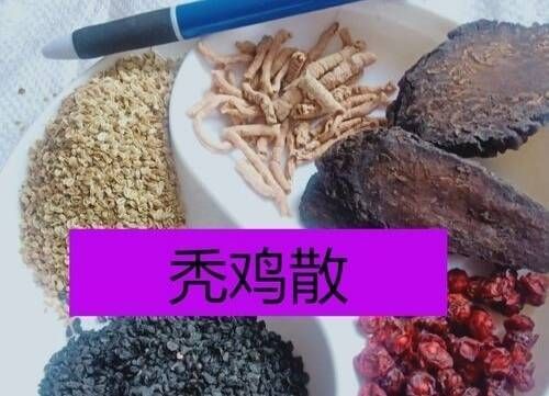 吃十天停二十天增强免疫力__吃过十天了药还会过敏吗