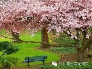 失眠伤寒论经方_伤寒论治失眠方子有哪些_