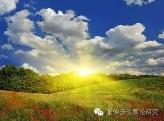 _失眠伤寒论经方_伤寒论治失眠方子有哪些