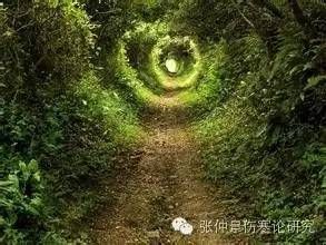 伤寒论治失眠方子有哪些__失眠伤寒论经方