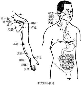 不为人知的天宗穴与上臂痛的秘密_不为人知的天宗穴与上臂痛的秘密_