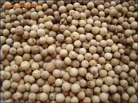 _食疗偏方胡椒粉的功效_妙用胡椒治疑难病