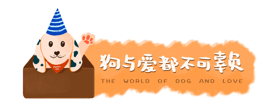 猫咪蹭毛器_猫咪蹭毛_