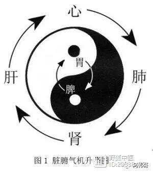 _中医治疗之法_中医治病的最高境界