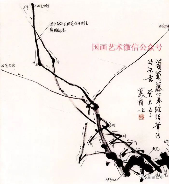 藤花图案__藤蔓写意画