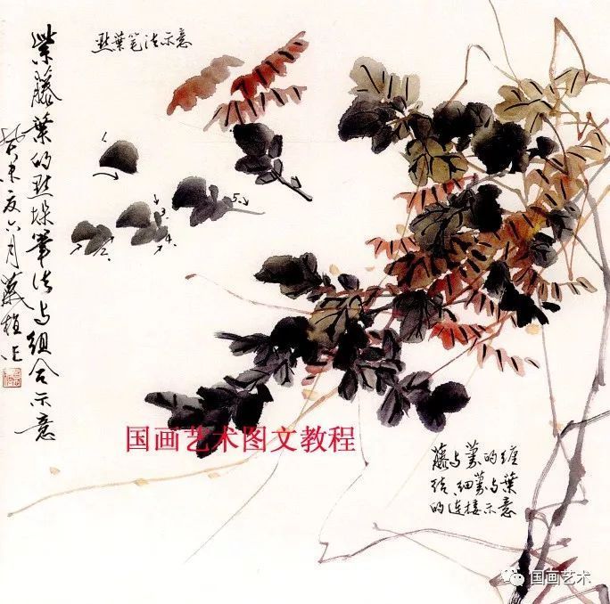 藤蔓写意画__藤花图案