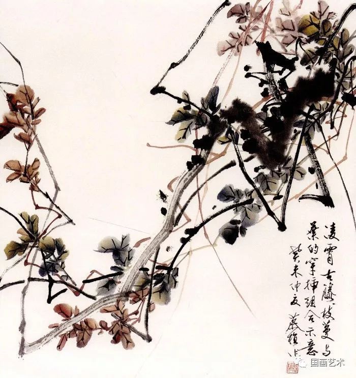 藤花图案__藤蔓写意画