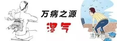 国医大师祛湿金方，77年从医总结，个个对症，没有去不掉的湿气